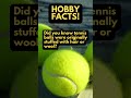 HOBBY FACTS! Did you know tennis balls were originally stuffed with hair or wool?