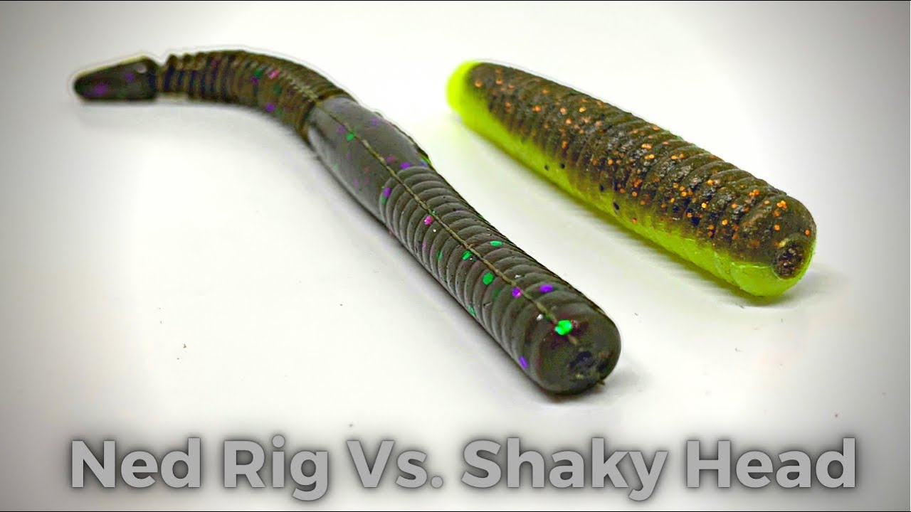 Ned Rig Vs. Shaky Head 