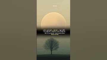 #سورة_الواقعة || وَأَمَّا إِن كَانَ مِنْ أَصْحَابِ الْيَمِين | #قرآن #المصحف #القرآن_الكريم #اكسبلور