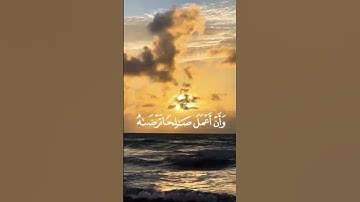 #قران_كريم #ايات #صوت القارئ #بلال دربالي