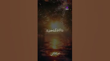 الشيخ أحمد كاسب يبعث الطمأنينة بتلاوة خاشعة 🌿💫