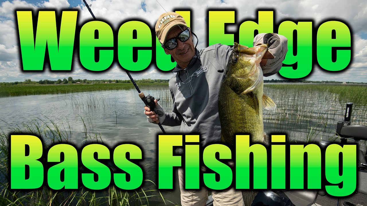 Weed Edges Attract Active Bass YouTube