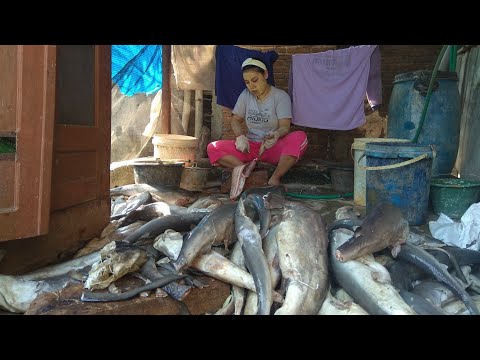 Video: Cara Memanggang Pai Ikan