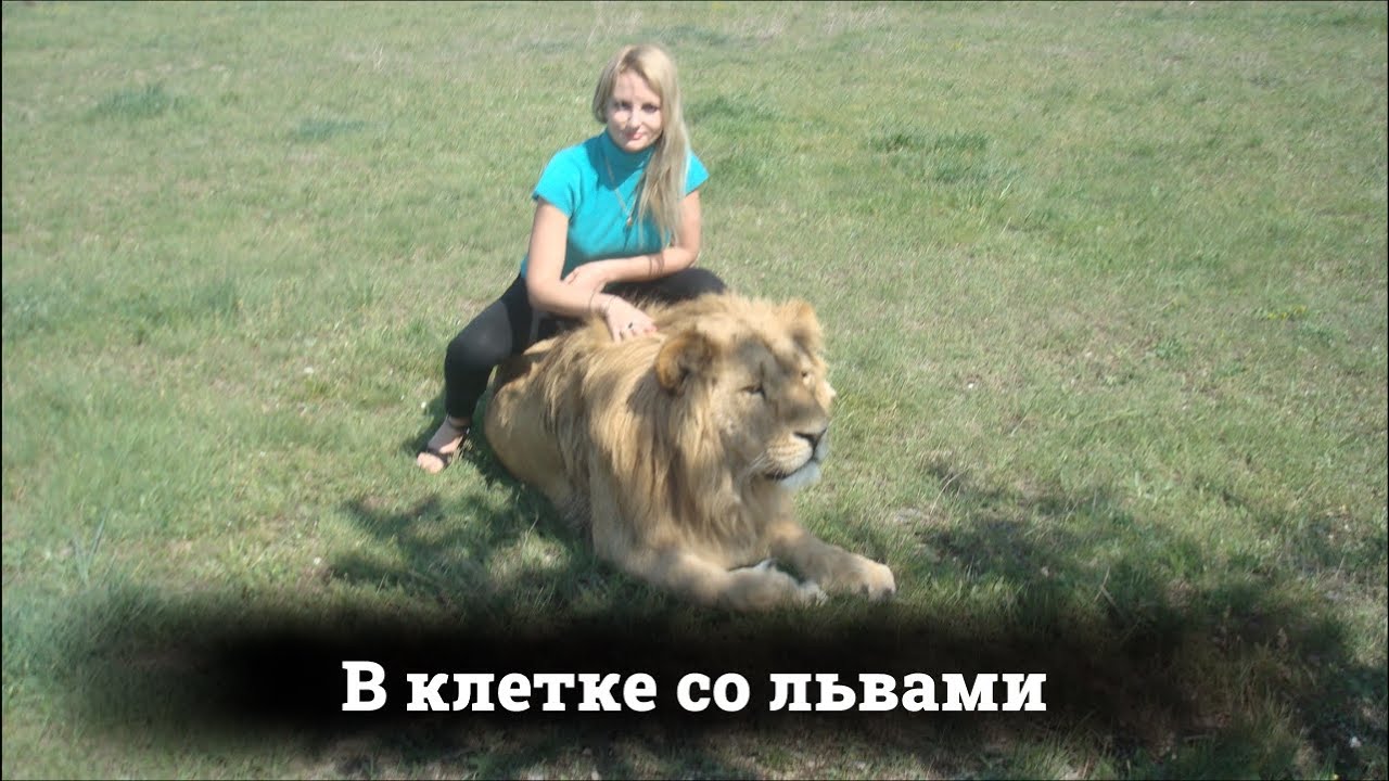 В клетке со львами - YouTube