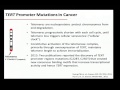 Molecular Influence in Thyroid Cancer – Role of Molecular Markers