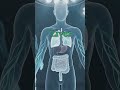 This Human Body Quiz Will Test Your IQ! #humanbodyfacts #generalknowledge
