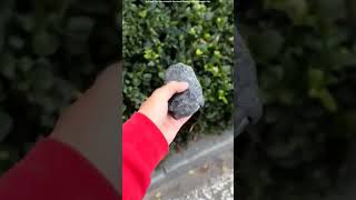 This Guys Having A Lucky Day