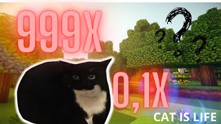Maxwell the cat 999x speed animation