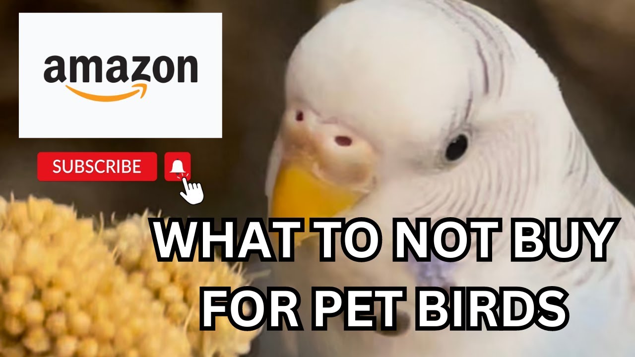 DONT BUY THIS FOR YOUR PET BIRDS ON AMAZON 🦜