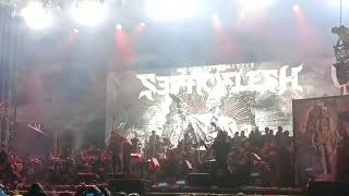 Septicflesh - Hierophant Live México Metal Fest VII 11 de Noviembre 2023