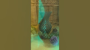 Round Chain Link Vase for resin printing #3dprinting #3dprint #resinprinting #ntopology #vase