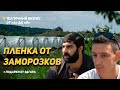 Тепличная пленка от заморозков и подарки от Эдгара.