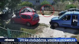 Háború Ercsiben, Gumilövedékes, Gázfegyver Lövöldözéses, Ablakbetöréses Harcok Ág Írek