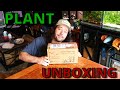 Unboxing and Planting Aquatic Plants from Aquarium Co-op