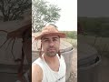 #viral #roça #toada #chuva #agro #natureza #nordeste