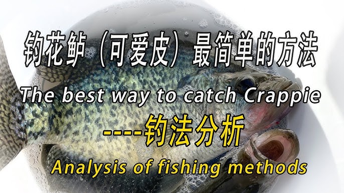 岸钓夏花Summer Crappie】岸钓抛远深水钓花鲈：重漂双线钓法Weighted Float Double Lines Rig for  extreme long cast fishing 