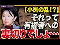 税調インナー辞任する?小野寺税調会長が引き留める!?余計なことはせずにこのままお辞め頂いたほうがいいと思います。 近藤倫子チャンネル