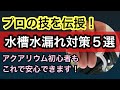 【水槽の水漏れトラブルを無くそう!】水槽管理のプロが水漏れ対策の秘訣をご紹介!