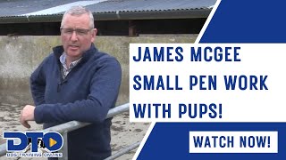 James McGee Small Pen Work With Pups!