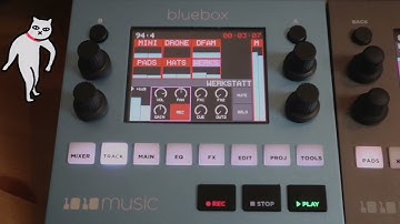 Recording with 1010 music blue box | Is it good for me? | walk thru start to finish