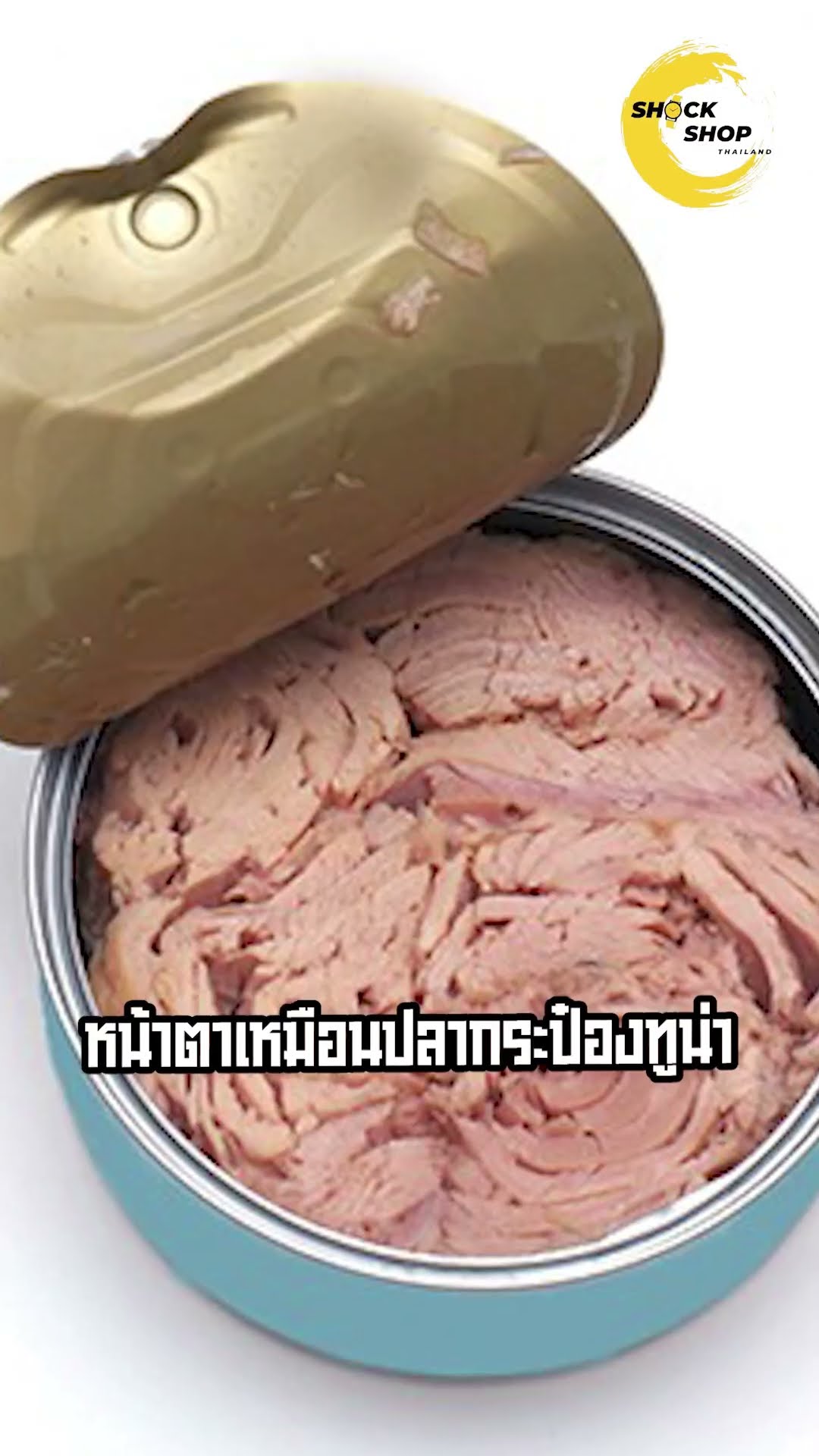 จุดกำเนิดของ Seiko Tuna สู่ นาฬิกาดำน้ำระดับตำนาน #seiko #seikowatch #shockshopthailand