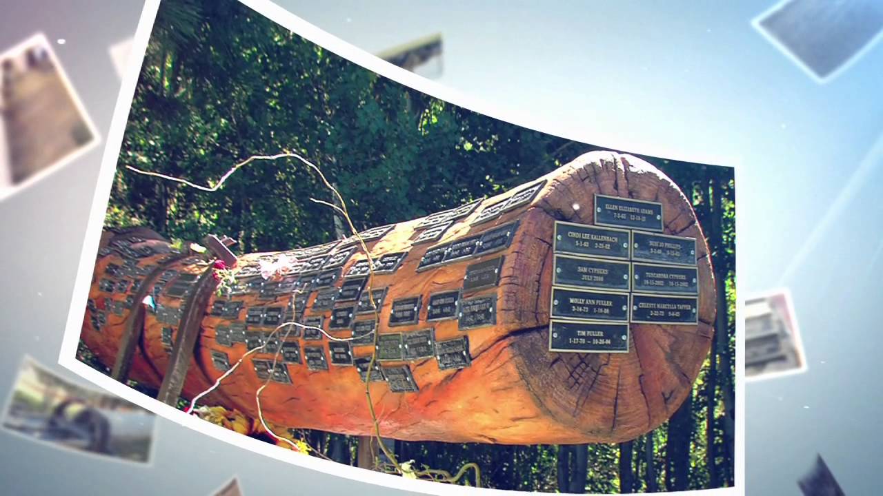 tahoe 215 Childrens Tree Overview Segment