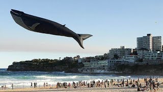 Photoshopsuz Olduğuna İnanamayacağınız Harika Kareler