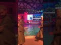 Видео со съемок