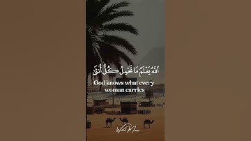 سورة الرعد آيات تلامس القلوب وتبعث السكينة | Surah Ar-Ra'd Heart-touching Verses Bringing Serenity