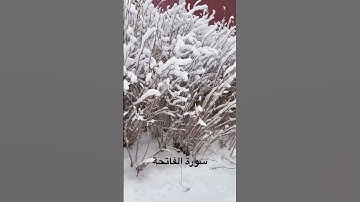 سورة الفاتحة#اكسبلور #قران_كريم #quran #الفاتحة #المصحف #azkar #راحة_القلوب #راحة_نفسية