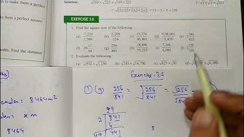 Class-8th Maths Chapter-3 exercise 3.5 and exercise 3.6