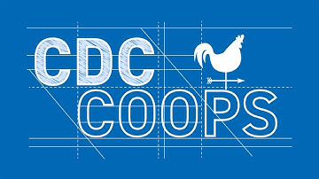 CDC Coops: Episode 2: Chick Inn