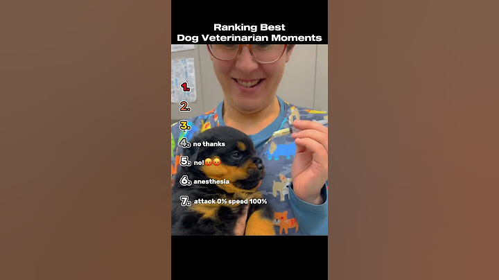 Ranking The Best Dog Veterinarian Moments