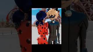 Ladybug and Cat noir