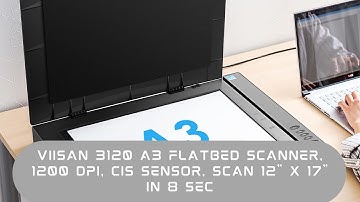 VIISAN 3120 A3 Flatbed Scanner, 1200 DPI, CIS Sensor, Scan 12" x 17" in 8 sec, Frameless & Auto-Scan