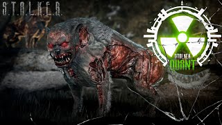 ● STALKER QUANT ● Зачистка севера ЧЗО! — STALKER RP №762