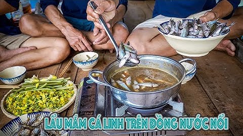 Cuộc sống săn bắt mùa nước nổi 2024 - Tập 3 | Gấc Quê