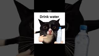 mausi is back 🤣 #shorts #cat #cute #funny #fyp #aesthetic #trending #typography #viral