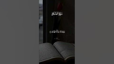 سورة الضحى بصوت الشيخ أحمد العجمي قرآن كريم راحة نفسية #قرآن #خشوع #ارح_قلبك