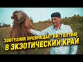 Зоотехник превращает Ингушетию в экзотический край