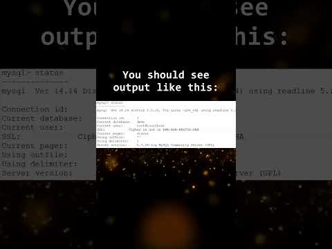 How to Verify Your MySQL SSL Connection Status?