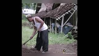 Download Lagu Mbah Sentot vs Kabul #shorts MP3