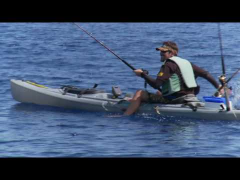 Hawaii Goes Fishing, Demo Reel 2010