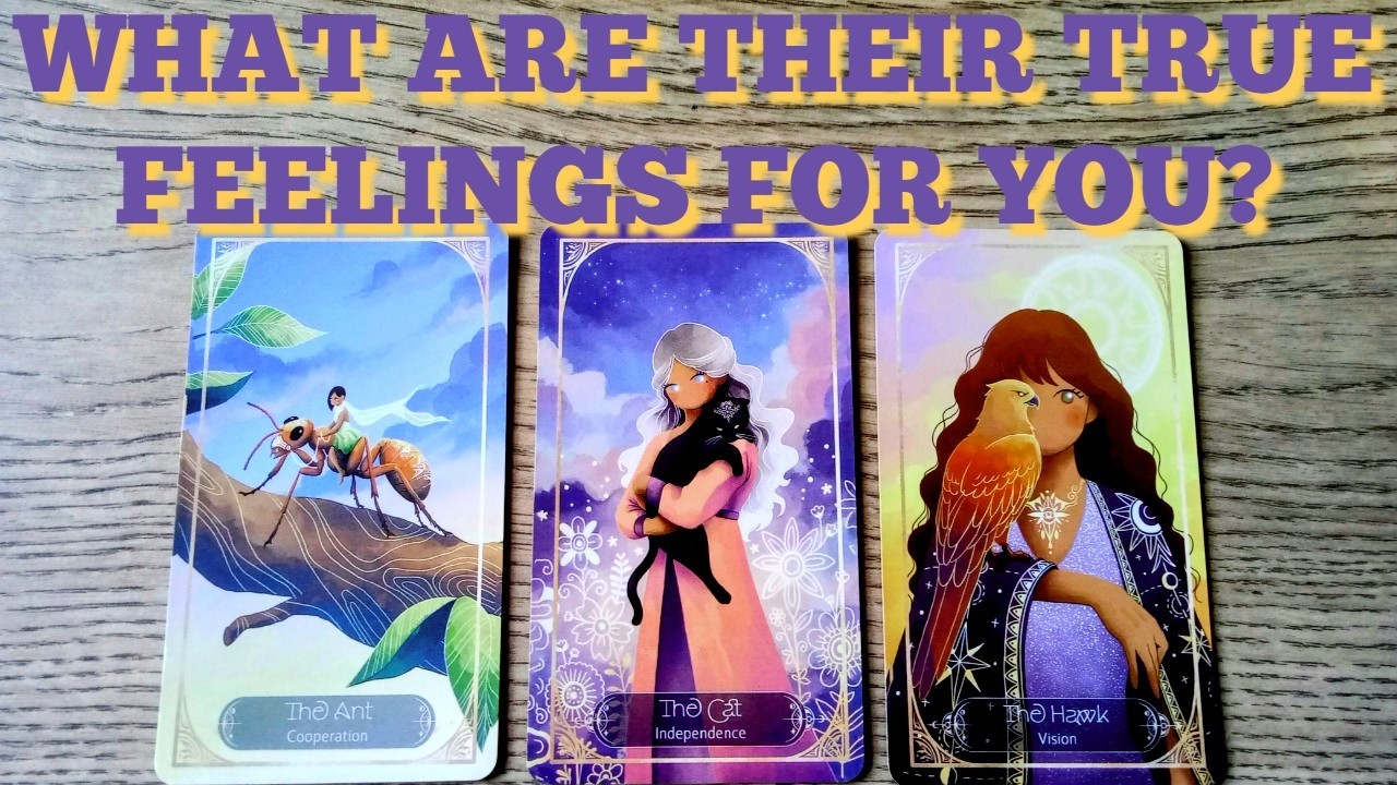 💞THEIR TRUE FEELINGS FOR YOU RIGHT NOW 💞PICK A CARD 💝 LOVE TAROT💝