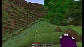 Testing Minecraft on new computer (using fraps)
