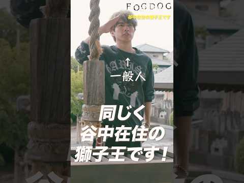 谷中在住の獅子王です! #Shorts #FOGDOG #フォグドッグ