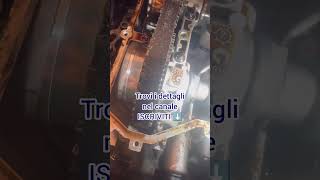 ⚠️ cinghia distribuzione bagno olio problema