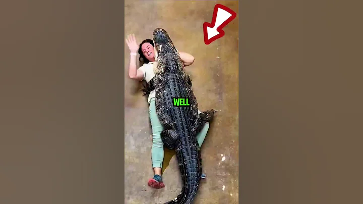 Do Zoos Actually Capture WILD Giant Snakes and Alligators? #animals #animalfacts #snake #animallife