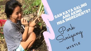 VEGGIES RESOURCES | PORK SINIGANG |MSCYNTHIA