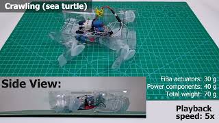 Crawling, climbing, perching, and flying by FiBa soft robots - Overview screenshot 1